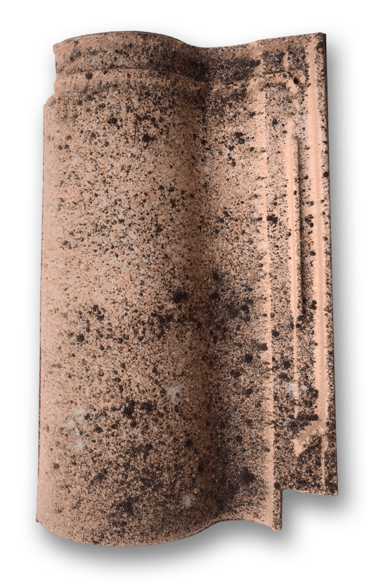 Aitana single tile
